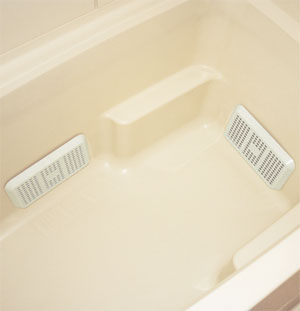 �g�������������̂����C��